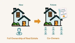 6736dbdfdca43faade91c0d7 6736dbda3081c447e6063ac8 blog8 img